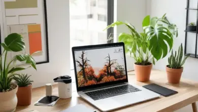 Photo of Как создать портфолио для фриланса